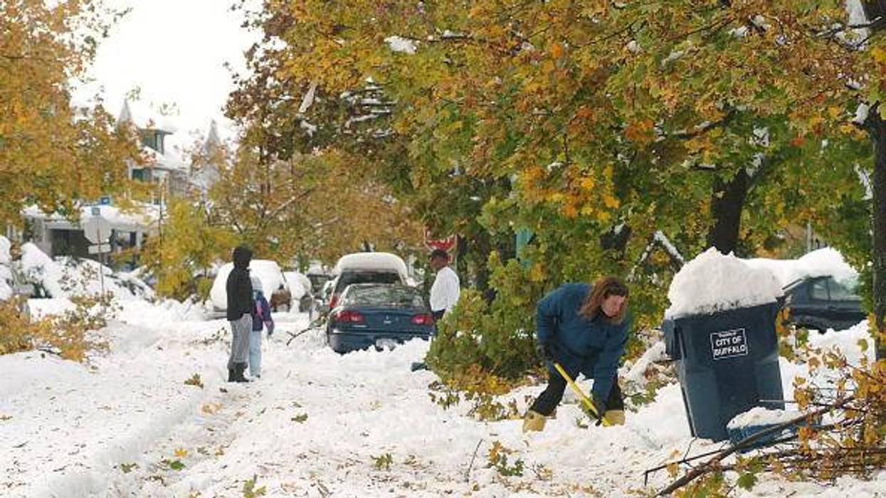 20 years later: Re-Treeing WNY after October Surprise