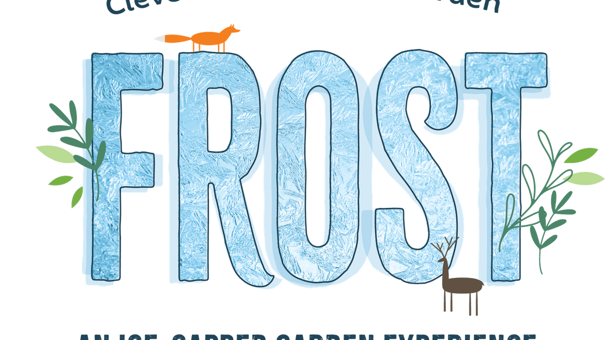Frost