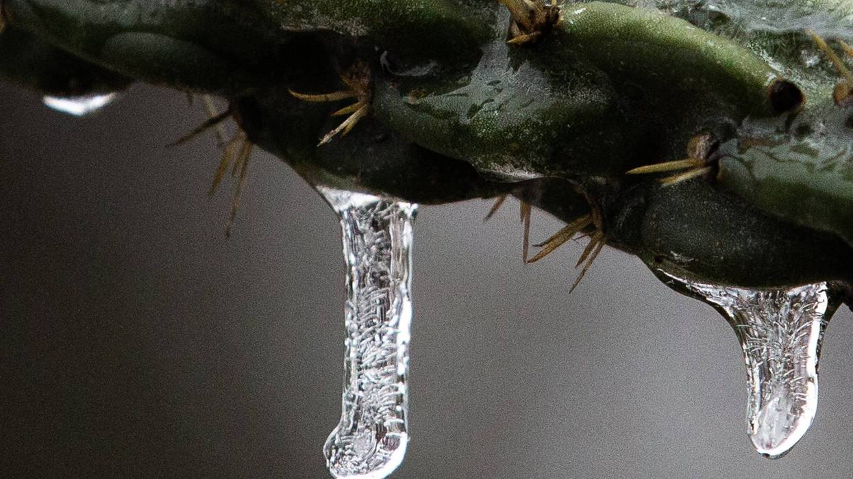 Frozen precipitation