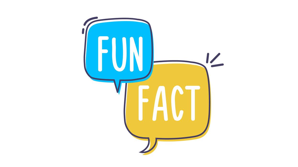 Fun Fact