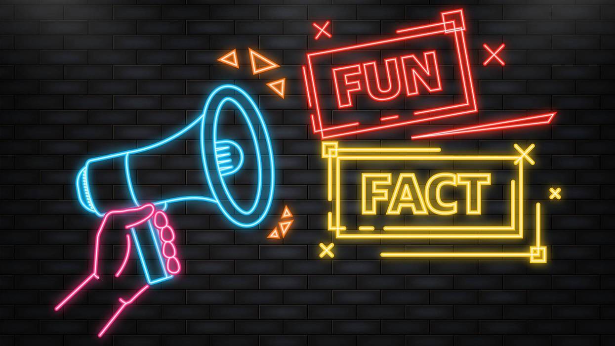 Fun Fact