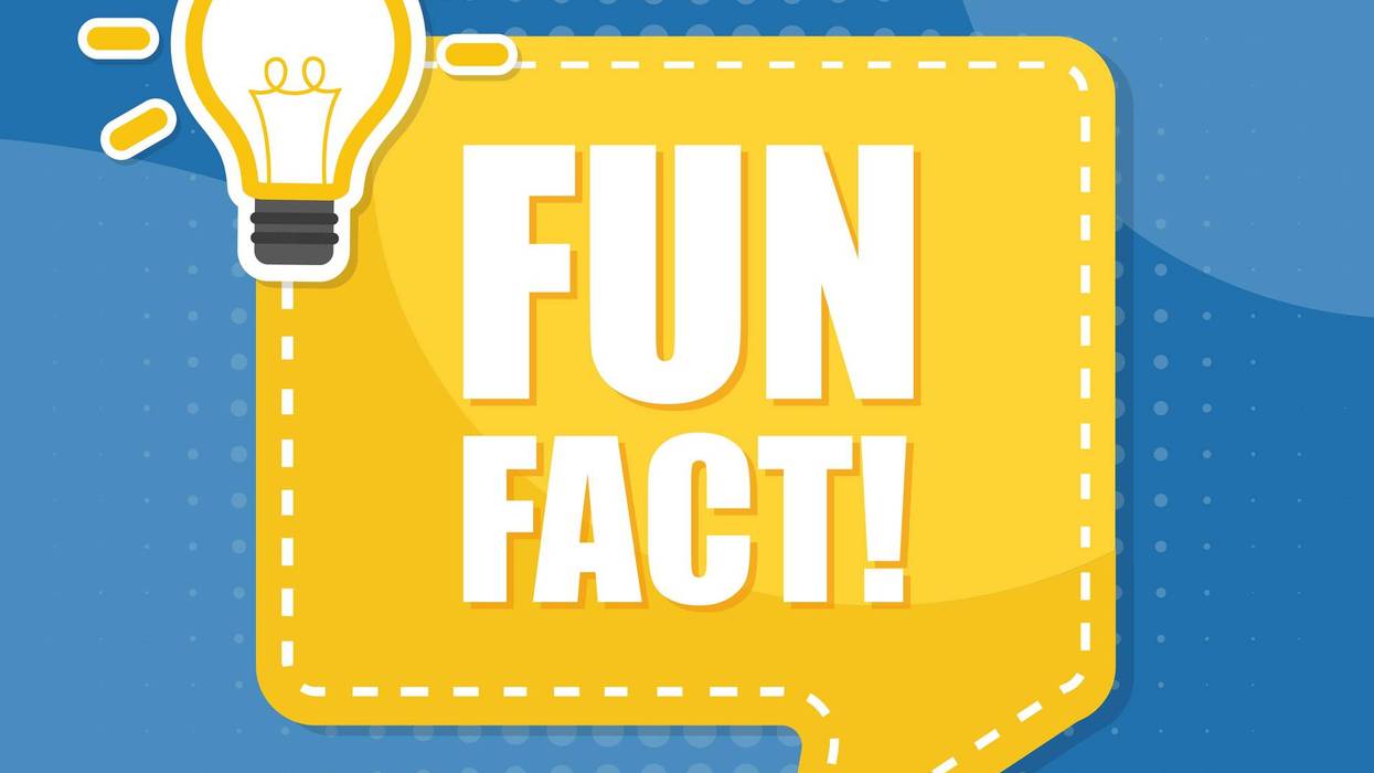 Fun Facts