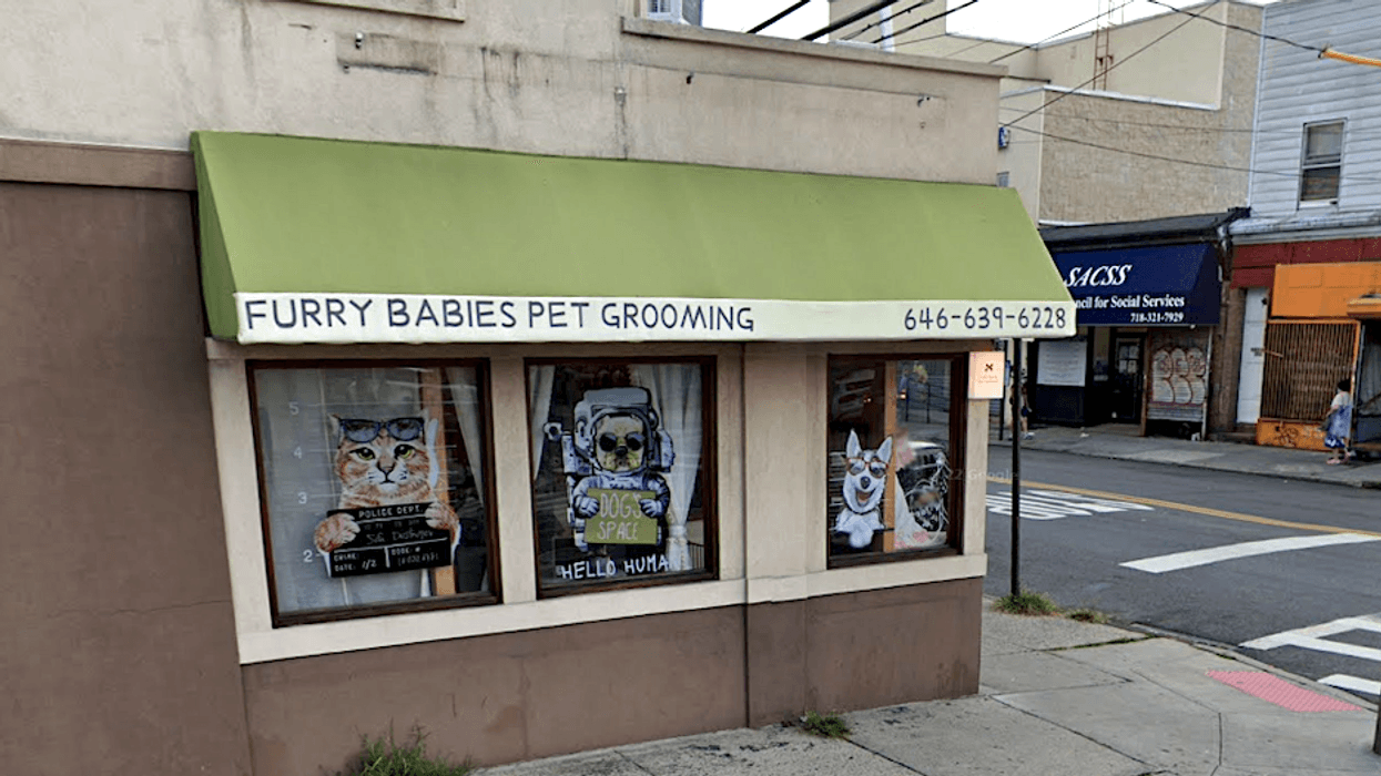 Furry Babies Pet Grooming in Flushing, Queens