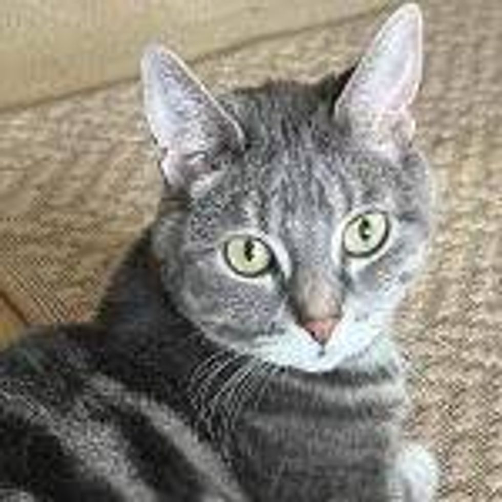 Gabby