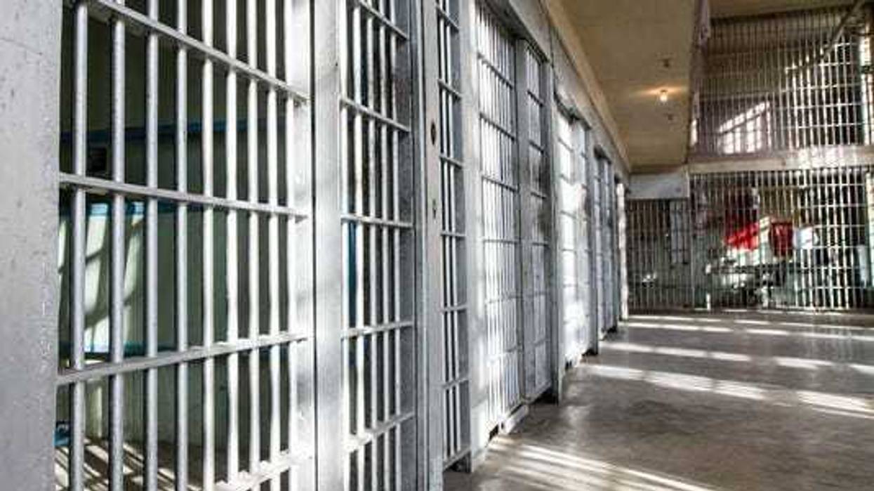 gang members arrested