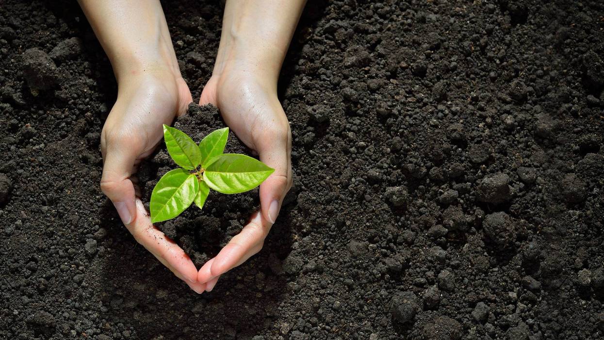 garden-soil-GettyImages-637583458.jpg