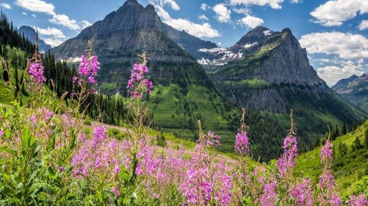 Garden Wall in Glacier National Park