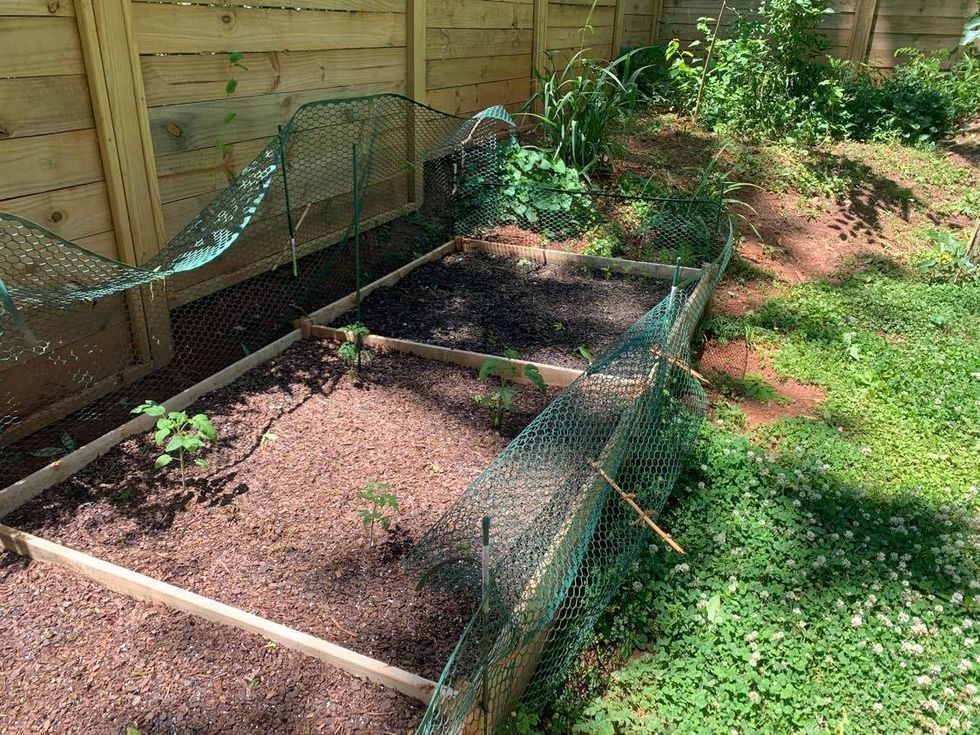 gardenbeds