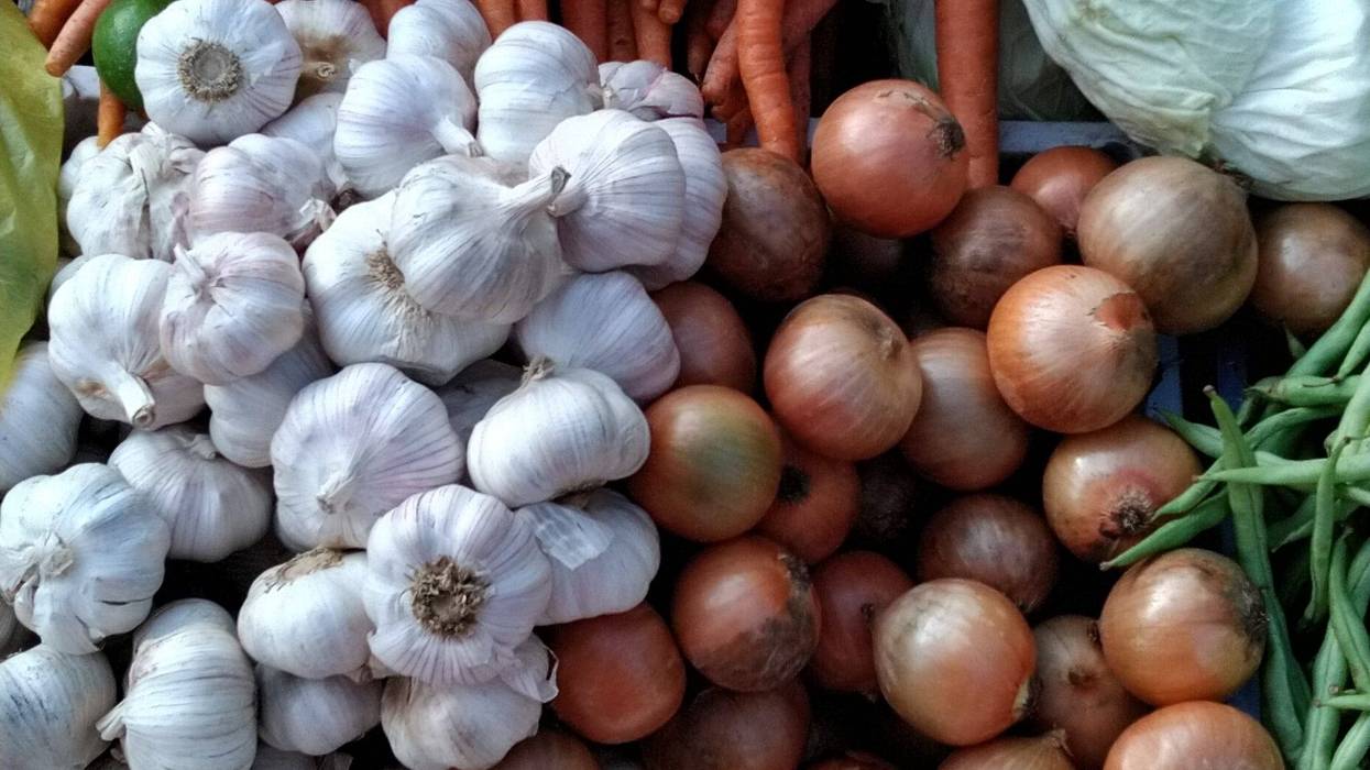 Garlic