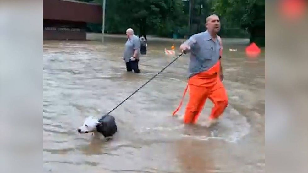 Gateway Pet Guardians