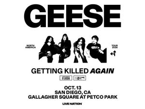 Geese