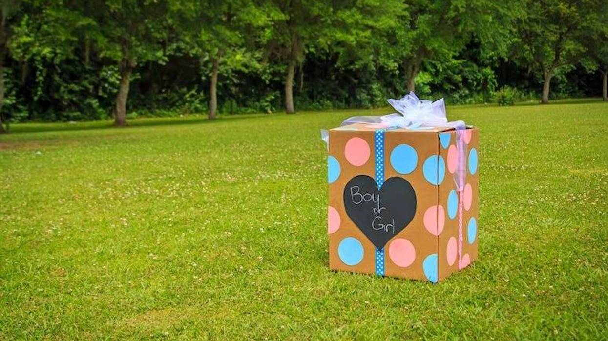 Gender Reveal Party, Box, Backyard, Boy or Girl