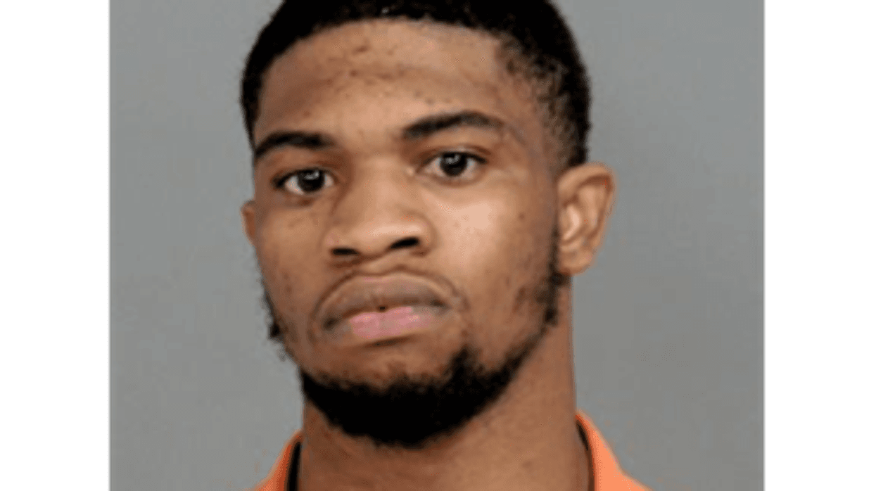 Genesee County Sheriff Chris Swanson said a 24-year-old Flint man is still at large and could possibly be in Detroit after being accused of carrying out a brutal attack against a woman and fatally shooting her dog on Easter.