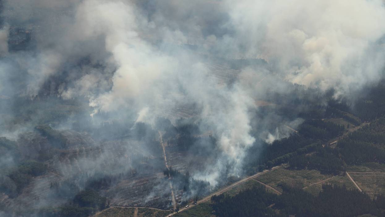Germany Wildfire 5