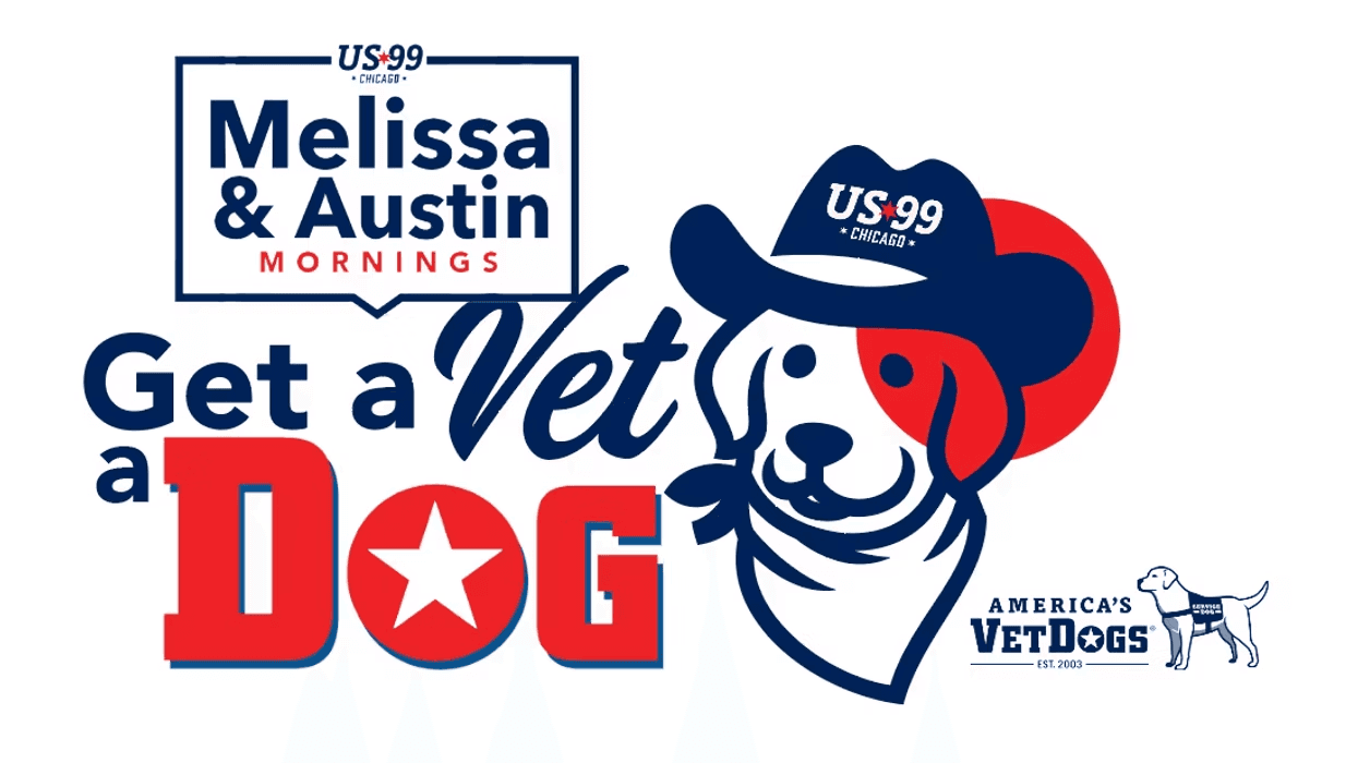 Get a Vet a Dog