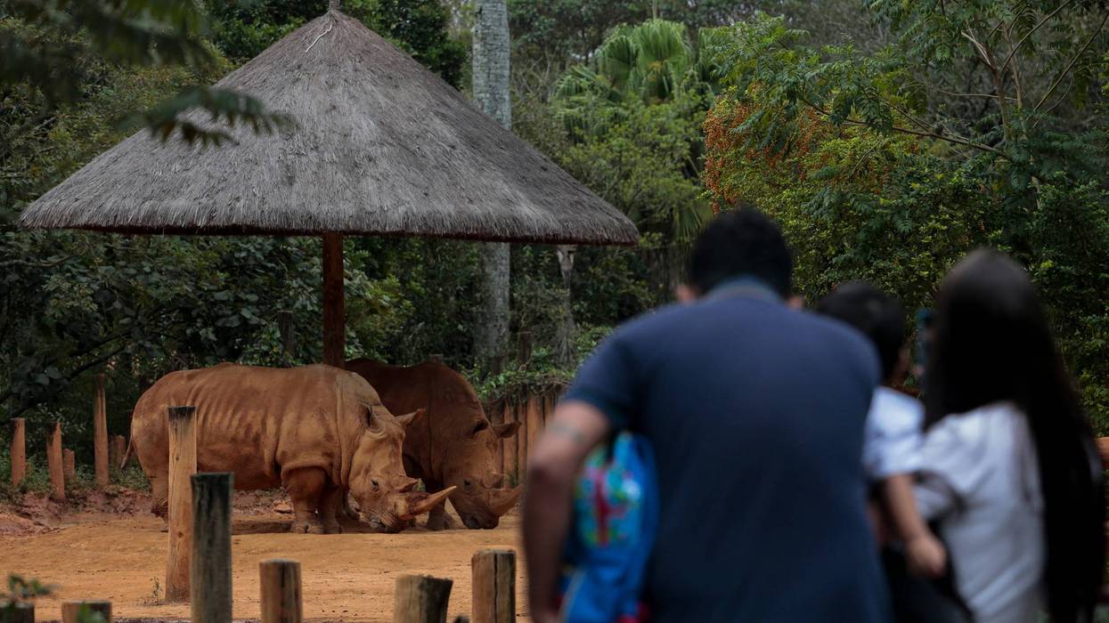 Getty