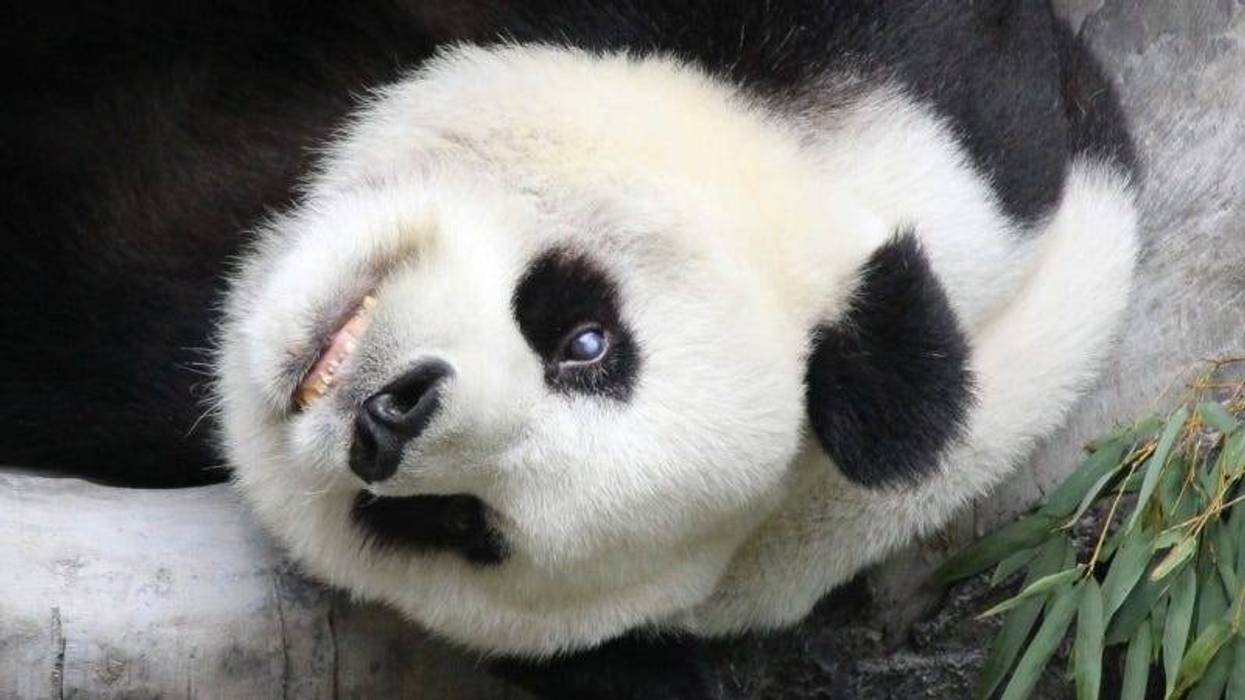 GettyImages-Foreverhappy-Mee