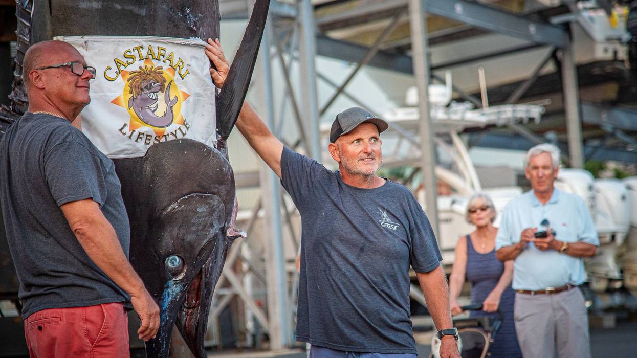 Giant Marlin