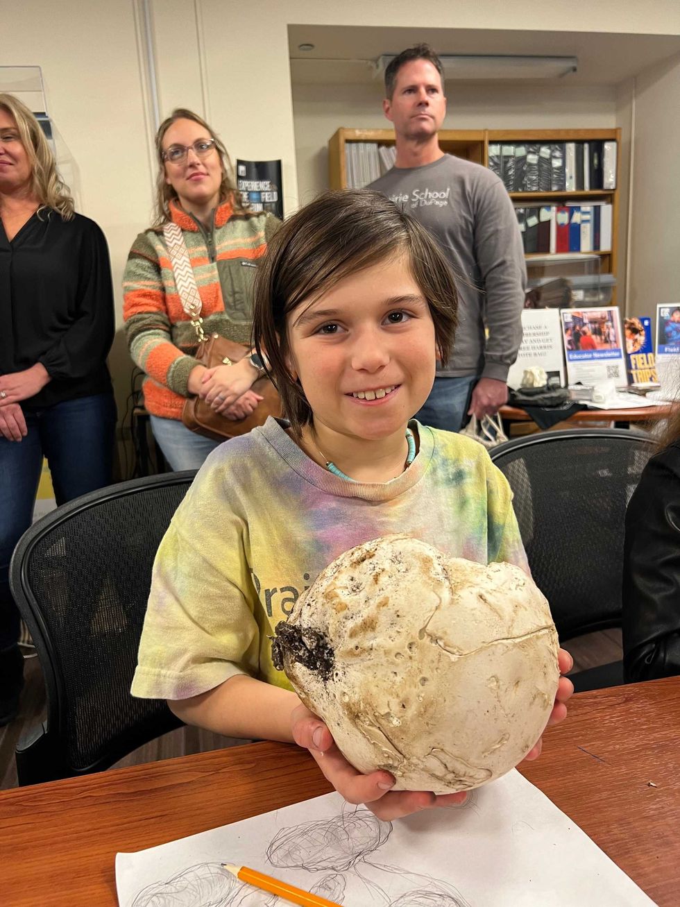giant puffball mushroom
