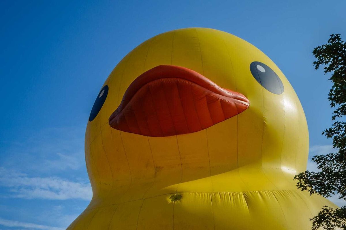 giant rubber duck