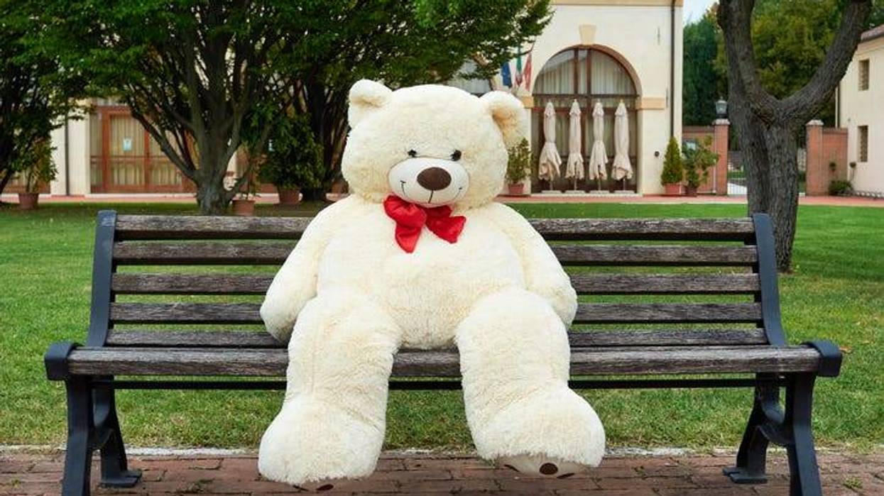 Giant Teddy Bear