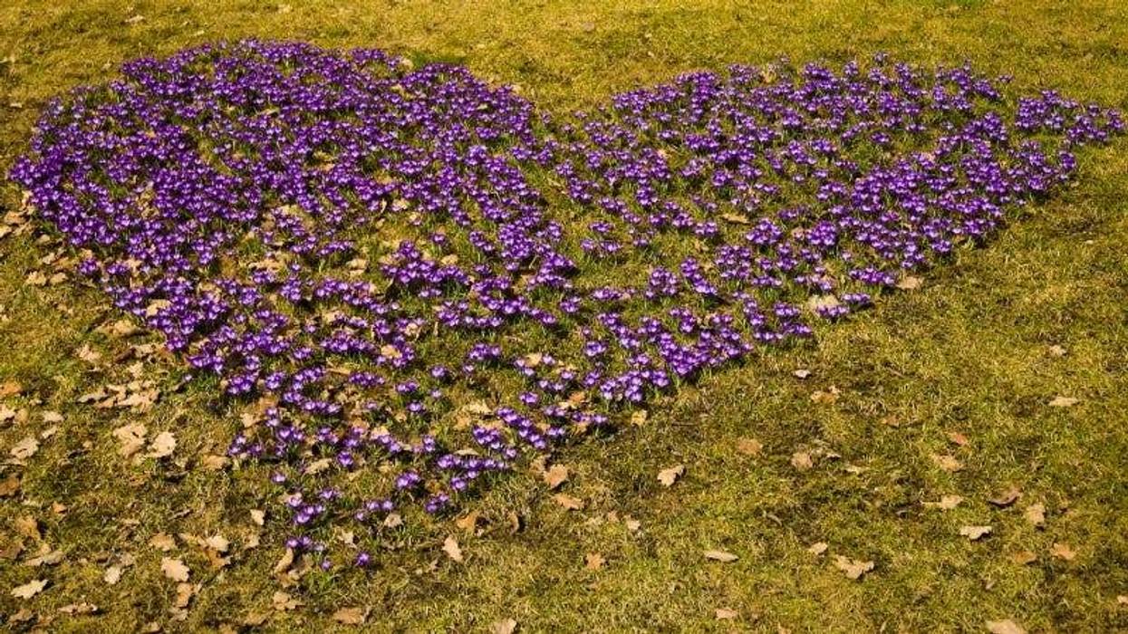 GinStarlove GettyImages