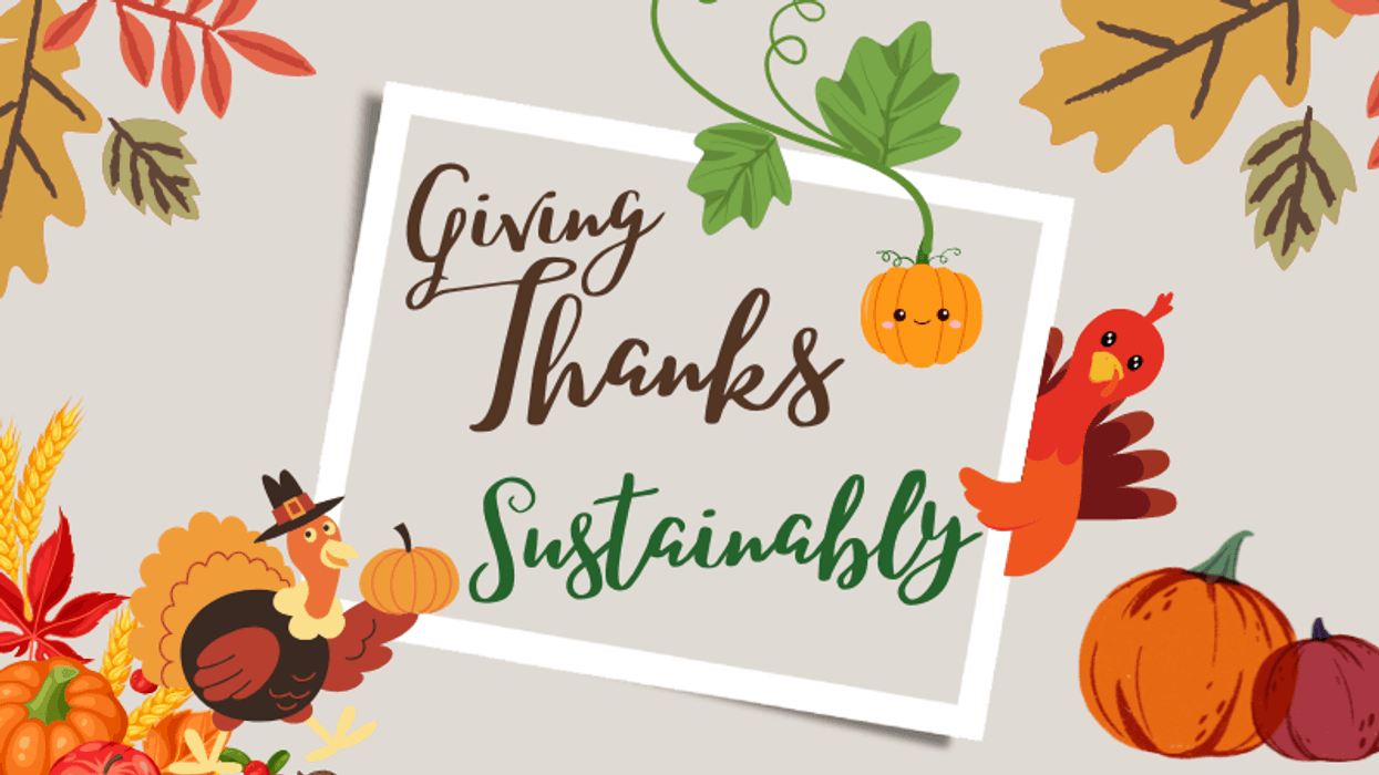 Giving Tahnks Sustainably / Canva Pro