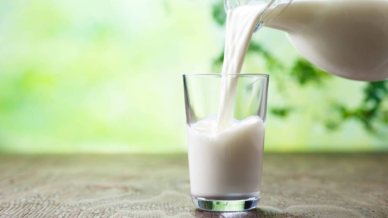 Glass of Milk