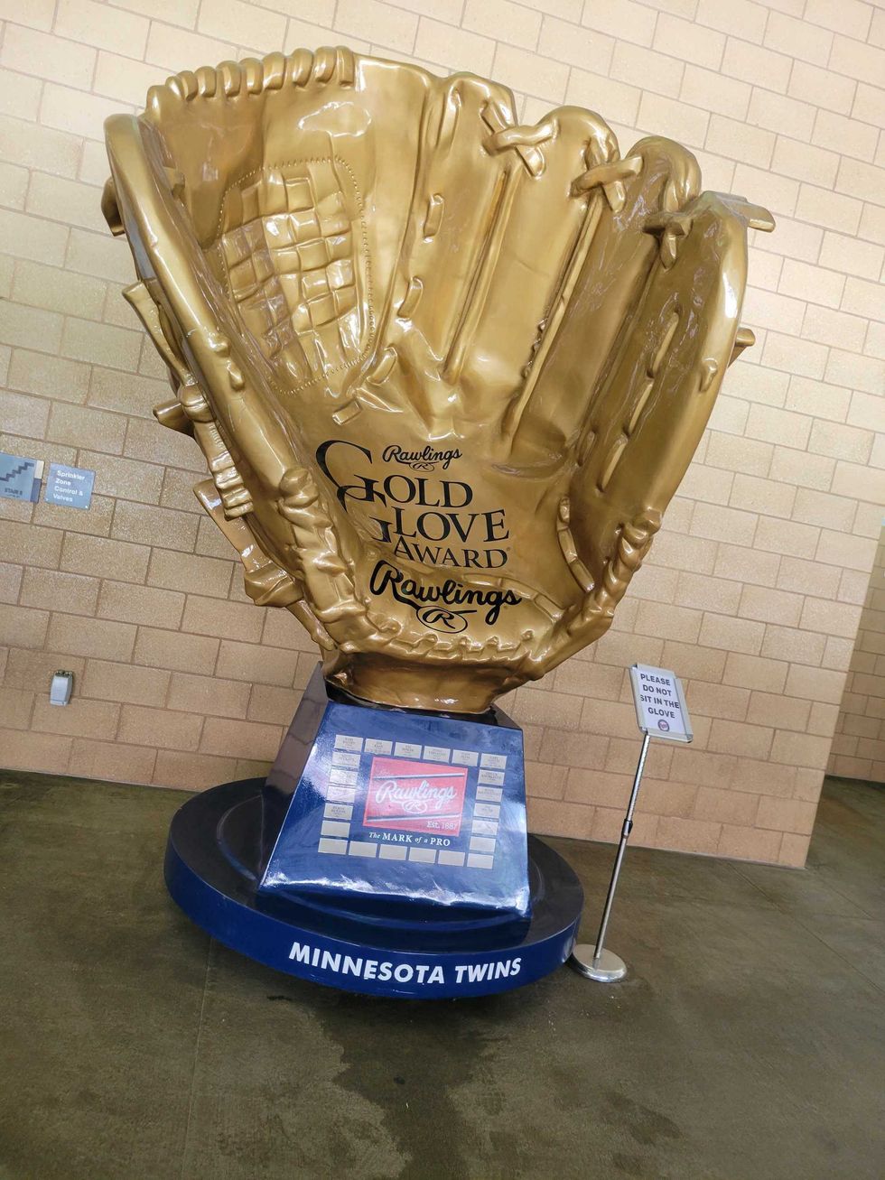 Gold Glove award