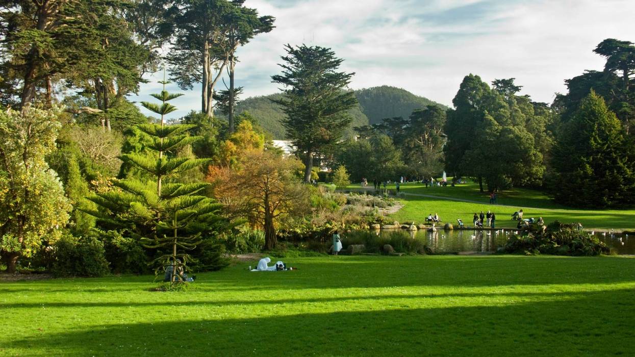 Golden Gate Park has hosted the festival for more than two decades now.