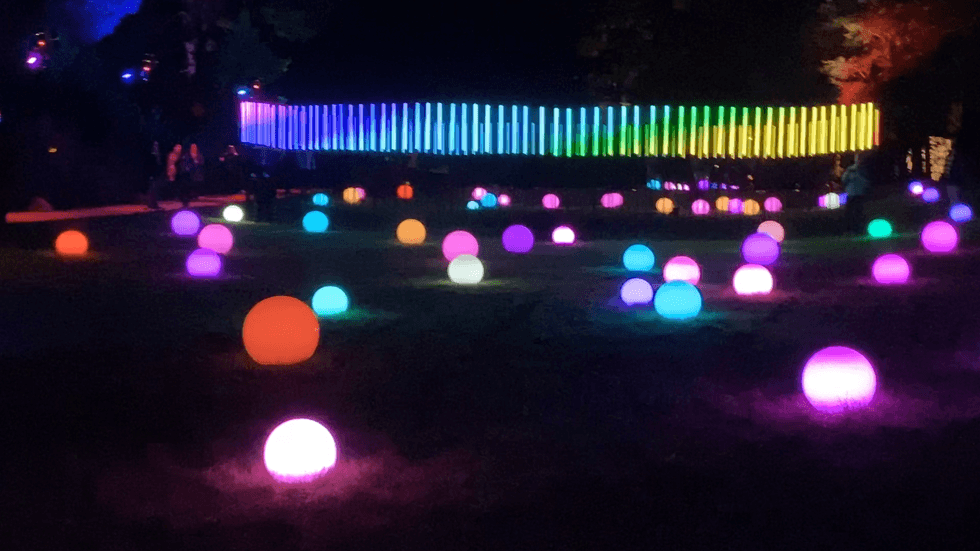 Golden Gate Park is commemorating World AIDS Day with an illuminating light show and events at the National Aids Memorial.