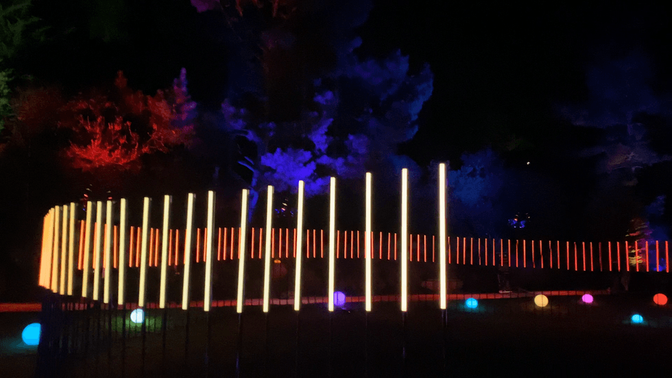 Golden Gate Park is commemorating World AIDS Day with an illuminating light show and events at the National Aids Memorial.