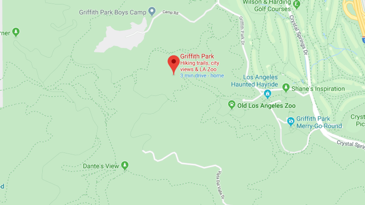 Google Maps