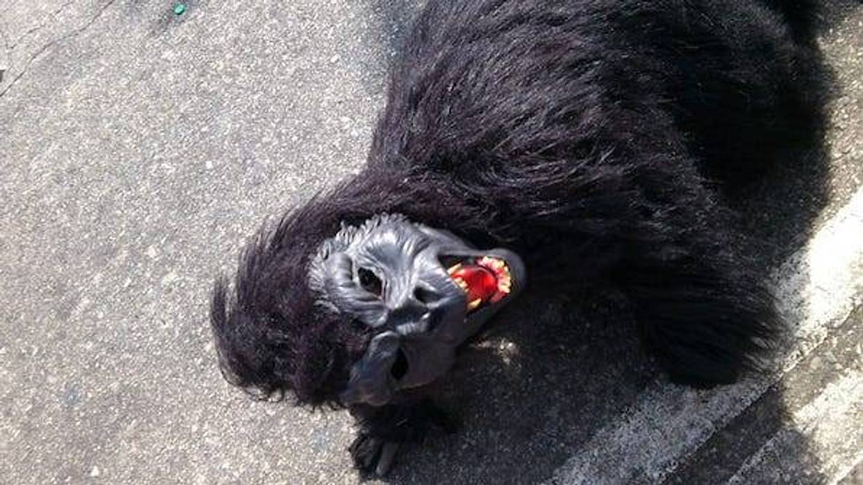 Gorilla costume on the road
