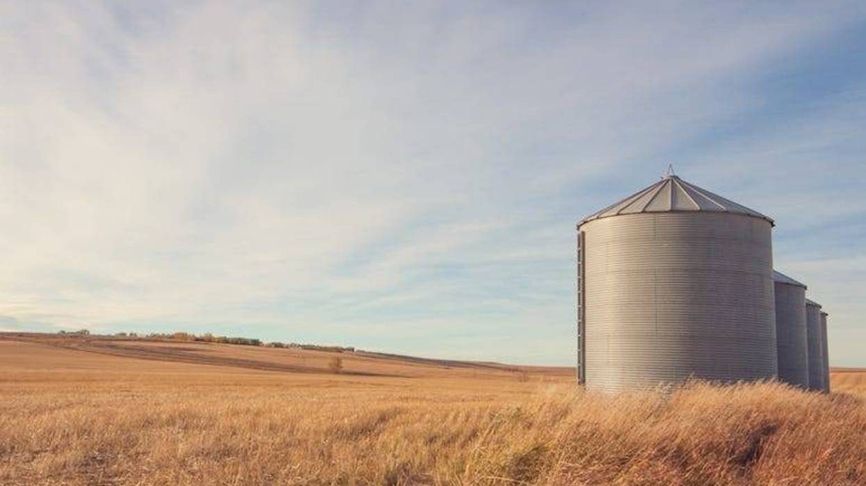 Grain Silo, Farm, Ranch, Field, Autumn