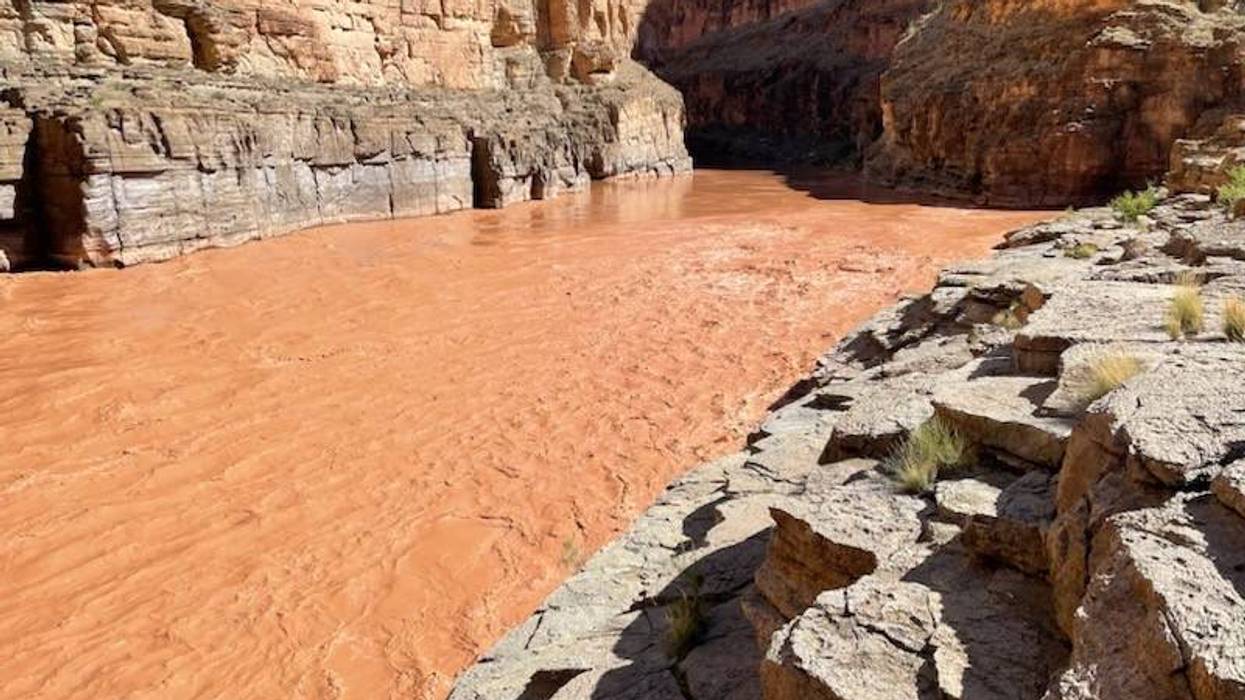 Granbury chiropractor among 2 dead in Grand Canyon flood; 1 still missing