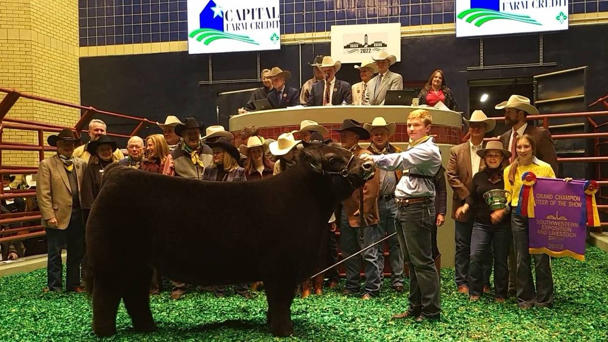 Grand Champion steer sells for record amount at Fort Worth Stock Show and Rodeo