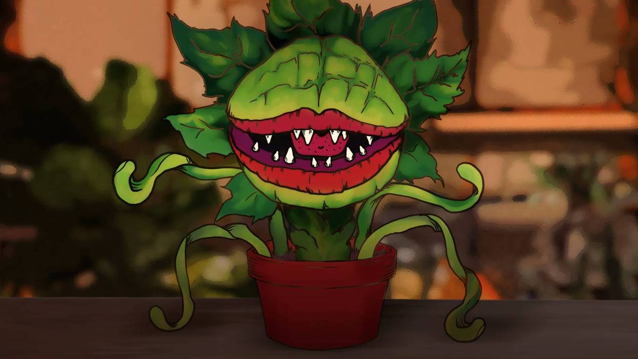 Grand Prairie ISD has canceled its high school production of Little Shop of Horrors at South Grand Prairie High School after a female student was cast in the traditionally male lead role of Seymour.