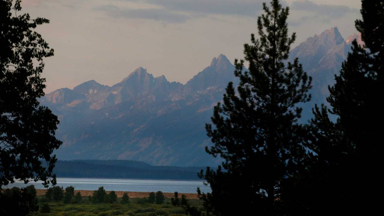 Grand Teton Grizzly Attack