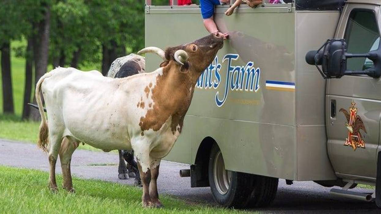 Grant's Farm