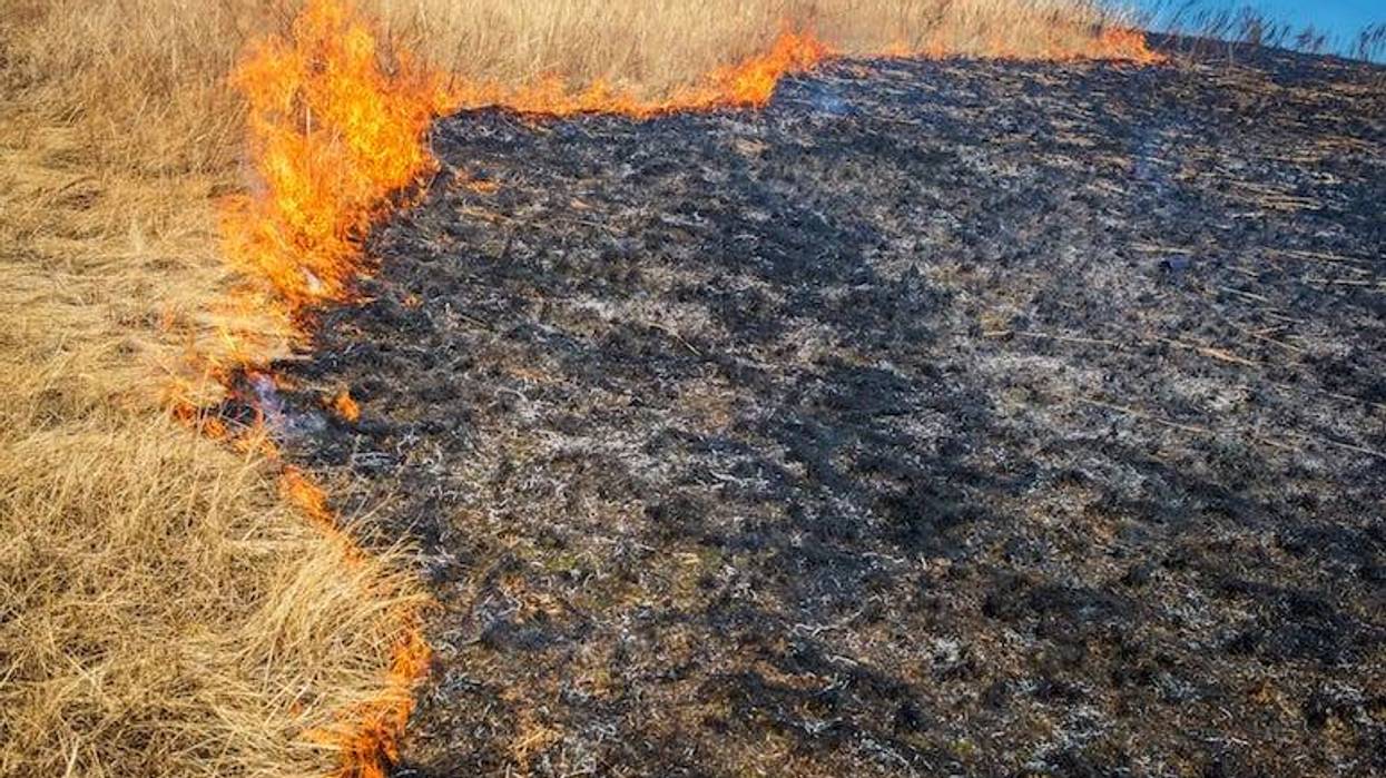 Grass Fire, Burning, Flames