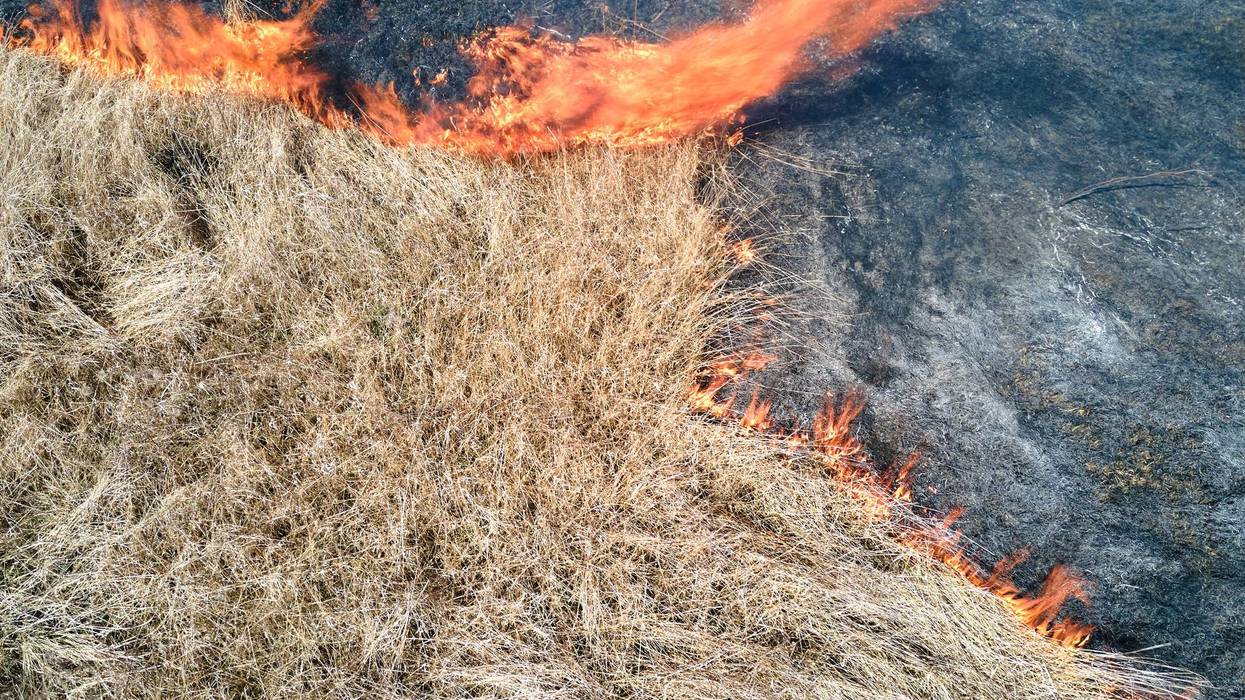 Grass Fire