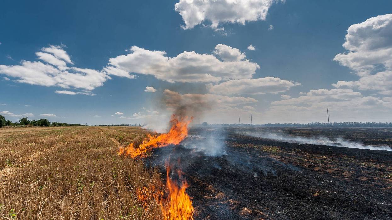 Grass Fire
