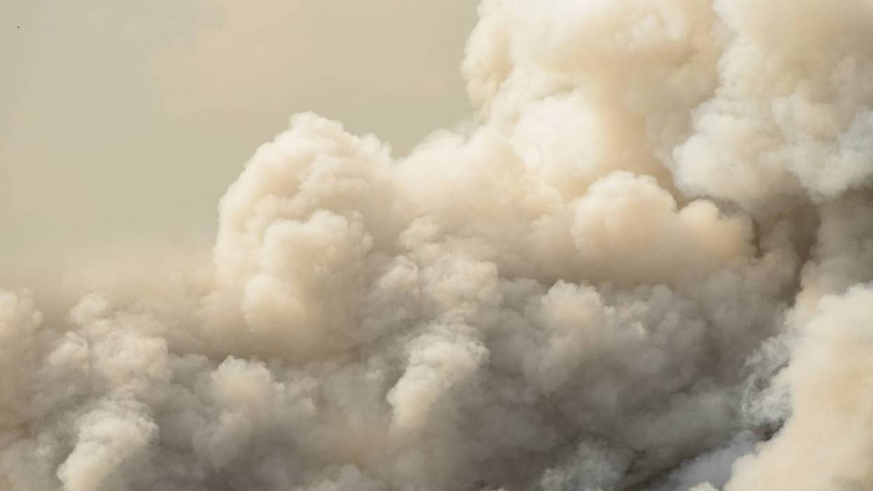 Grass Fire