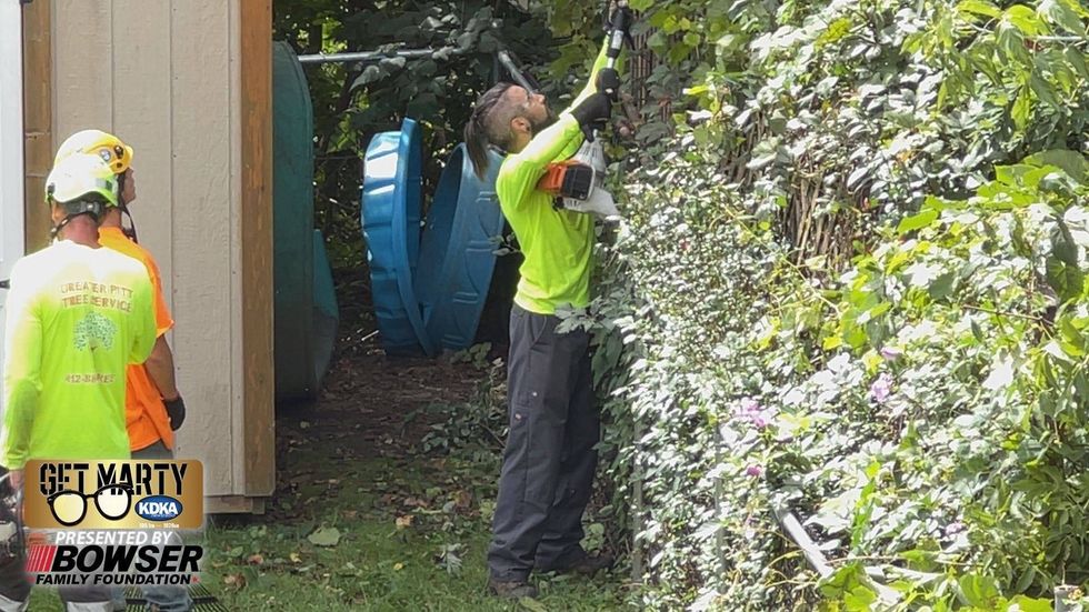 Greater Pitt Tree Service crews started clearing from the neighbor