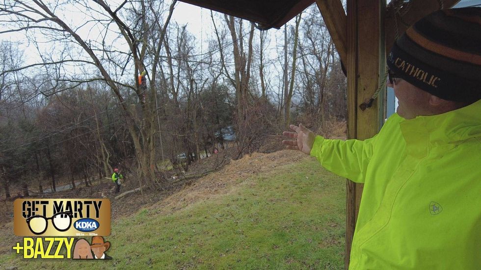 Greater Pitt Tree Service gets to work removing a tree for a WWII veteran.