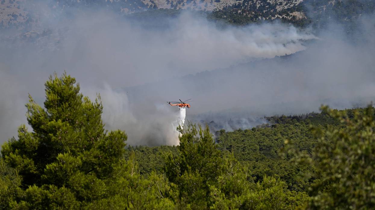 Greece Wildfires 317