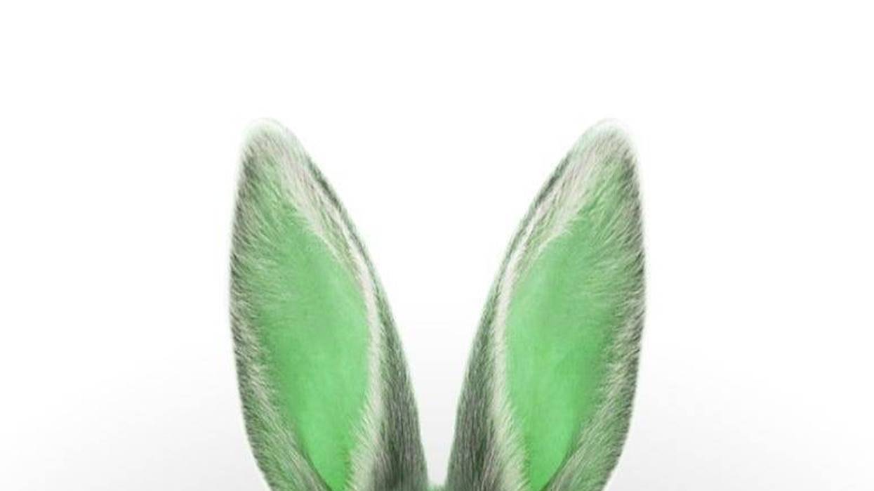 Green Bunny Ears