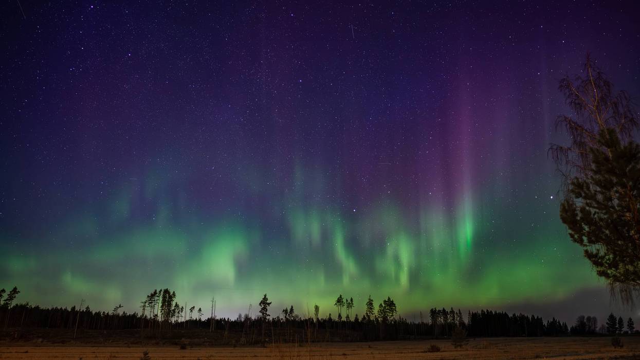 "Green Northern Lights Aurora Borealis Dancing over Spring Fields in Southern Finland"