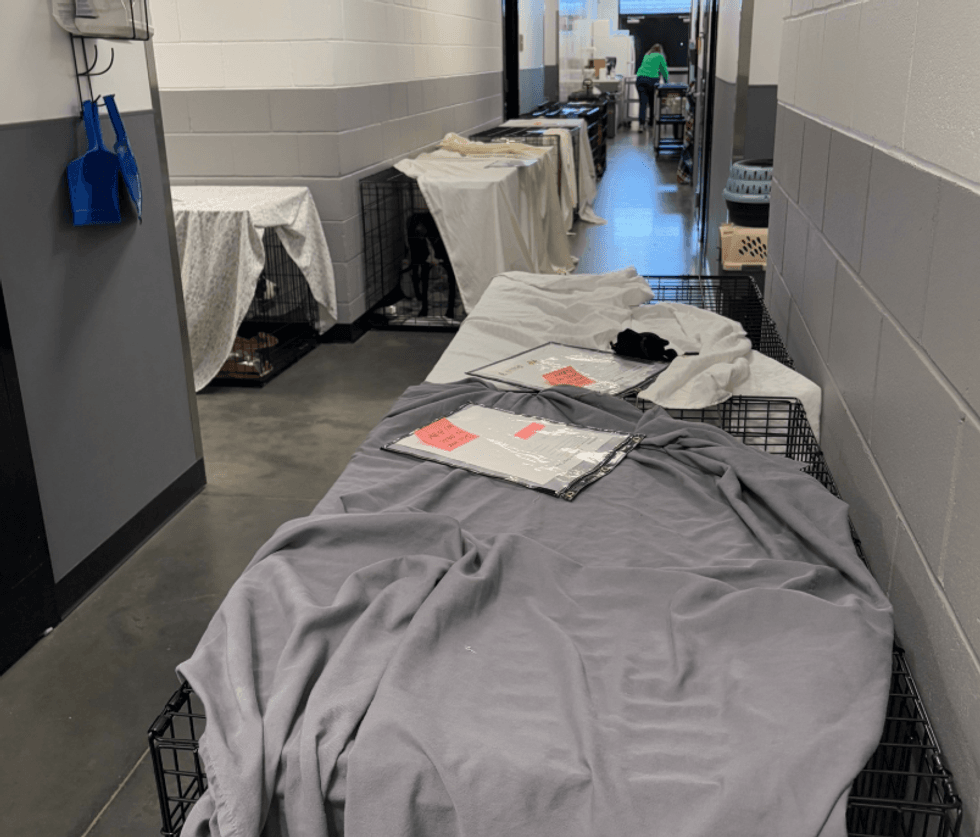 Greenville Humane Society FB page